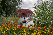 blumen-am-see-in-der-schweiz.jpg?b=1&s=170x170&k=20&c=XoY0CjzfpQqXdFwJad_M3Xh2NN-5OL352Ko2MXyFl5A=