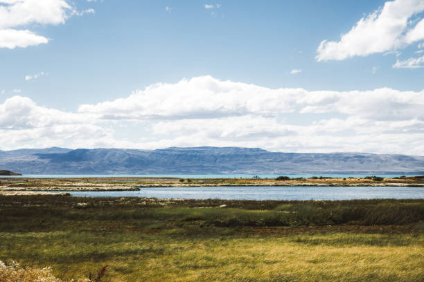 Dramatic view of Laguna Nimez - a part of Argentino lake, Andes mountains and grass near El Calafate, Patagonia, Argentina