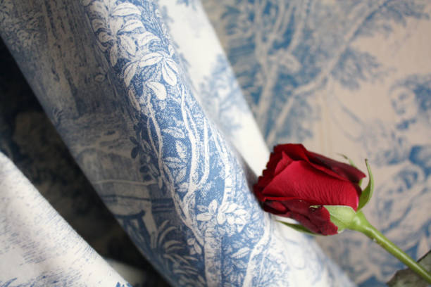 Red Rose in Venice in vintage Venetian interior background.