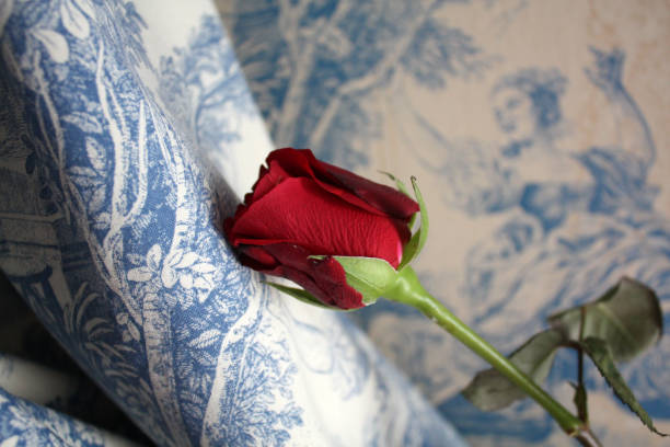 istock Red Rose in Venice in vintage Venetian interior background. 1148603375