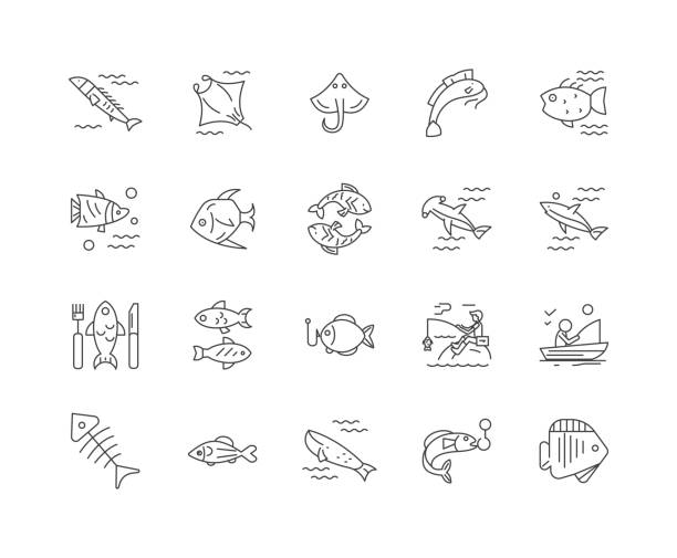 angelzeilen-symbole, schilder, vektor-set, umrissbilder konzept - nobody black and white activity fisherman stock-grafiken, -clipart, -cartoons und -symbole