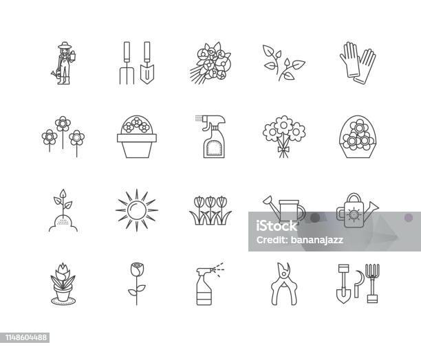 Floristry Courses Line Icons Signs Vector Set Outline Illustration Concept Stock Illustration - Download Image Now