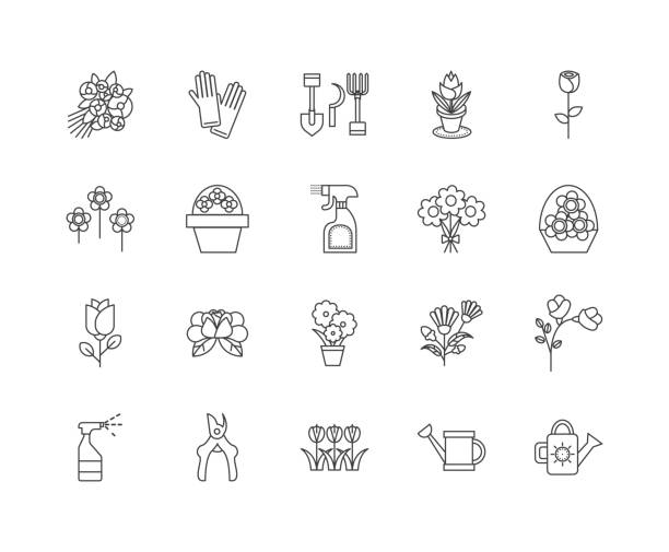 110+ Black And White Tattoo Flash Illustrations, Royalty-Free Vector ...