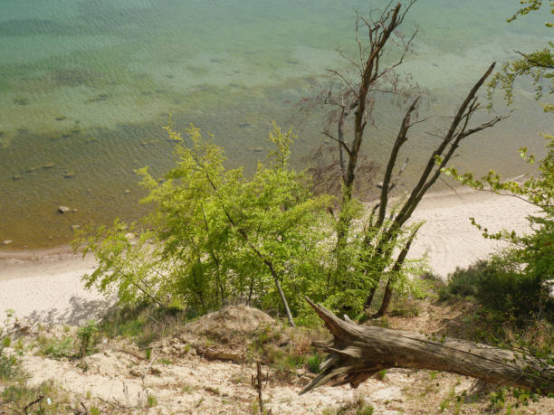 istock a walk form sopot to gydina in poland 1148606705