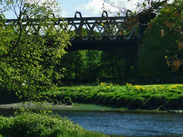 istock The train bridge and the River Ribble 1148607188