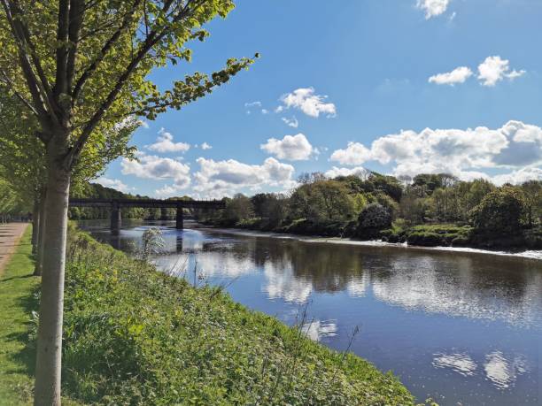 istock A calm river ribble in Avenham Park, Preston 1148607826