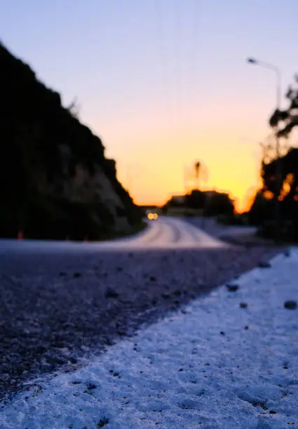 road leading to a palm tree with sunset in the background