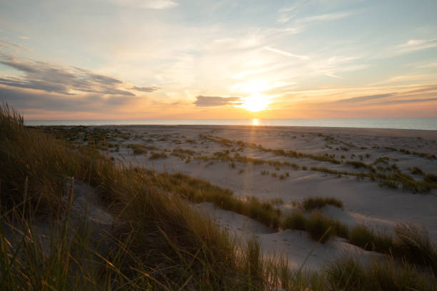 istock Sand dunes with vegetation in front of ocean 1148613013