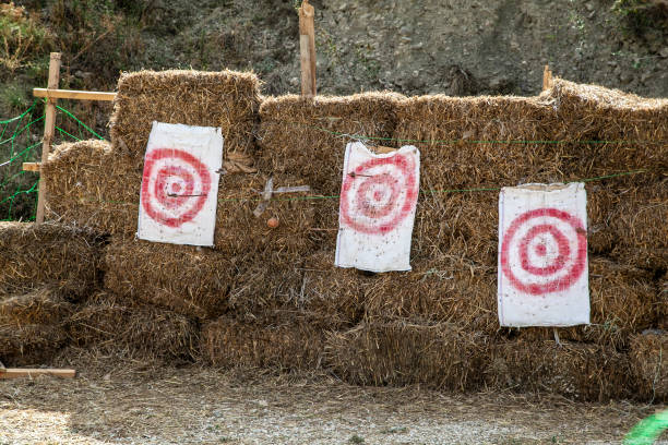 seta no alvo de madeira. clipe. alvo do tiro ao arco, alvos de madeira da curva - target archery target shooting bulls eye - fotografias e filmes do acervo