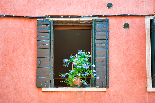 Windows with flowers in old house in Venice