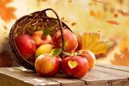 A wooden basket with fresh, red, delicious apples on a rustic wooden table. In front of autumn landscape in the background with autumn leaves. Light and sun.