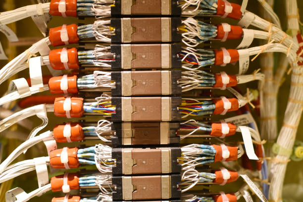 Electrical white wire bundles on a 787 dreamliner aircraft