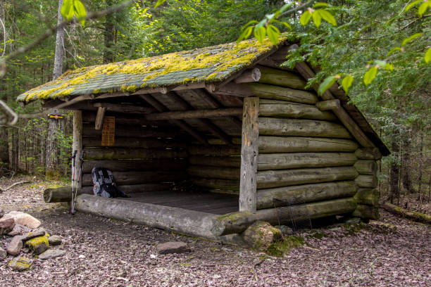 An Adirondack Lean-to, the Backpackers home away from home.