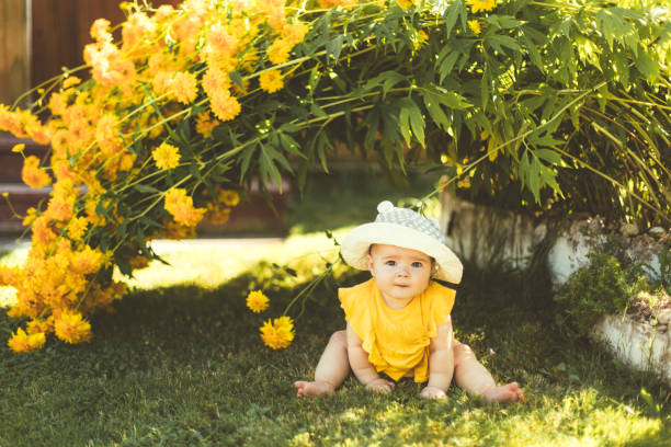 A child is sitting in the garden under a large yellow bush of flowers. A child is sitting in the garden under a large yellow bush of flowers. A little girl in a yellow dress and hat learns nature, the summer sun, green grass, a blurred background. august photos stock pictures, royalty-free photos & images