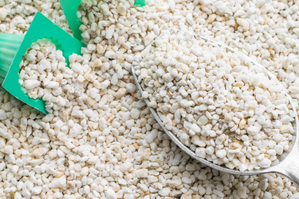 perlite with green cup perlite in a steel scoop for hydroponics vegetable aquaponics photos stock pictures, royalty-free photos & images