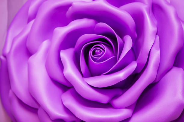 Huge Artificial Violet Rose Background.Flower closeup