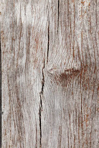 Wood, wood texture backbackground, old wood, wood texture vintage style
