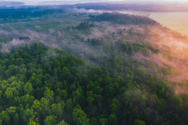 istock Beautiful morning landscape with fog view from drone 1148626406