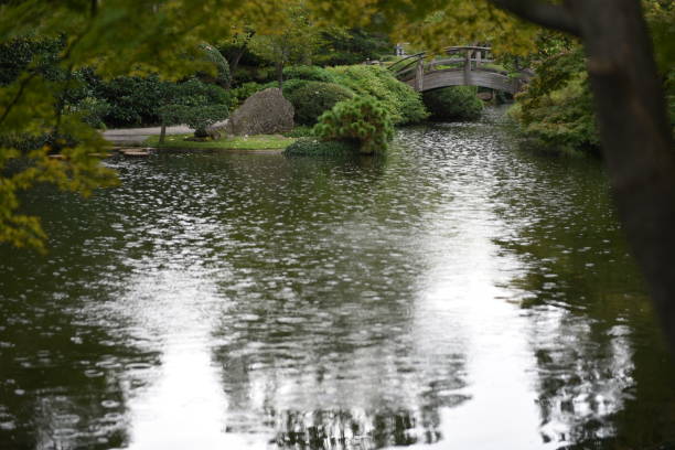 istock Japanese garden 1148627153
