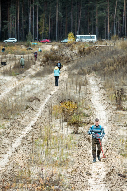istock People Volunteers Are Planting Tree Seedlings 1148628017