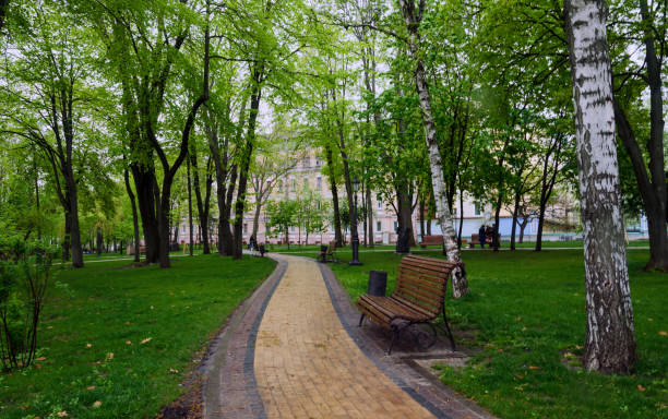 istock walking paths in the park, benches for rest, and green trees 1148629617