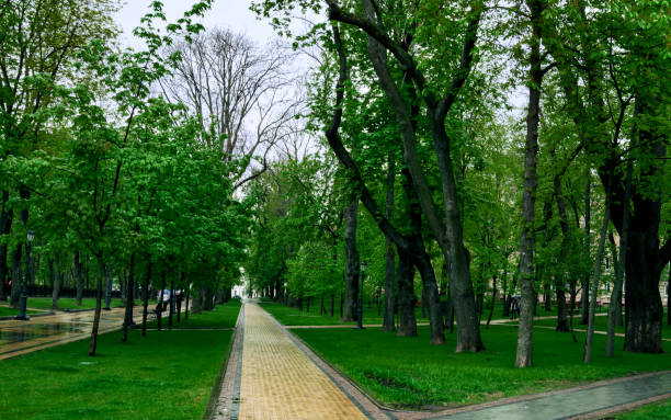 istock walking paths in the park, benches for rest, and green trees 1148629623