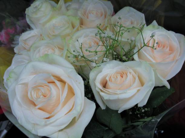 istock Pretty & Bright White Rose Flowers Bouquet 1148630347
