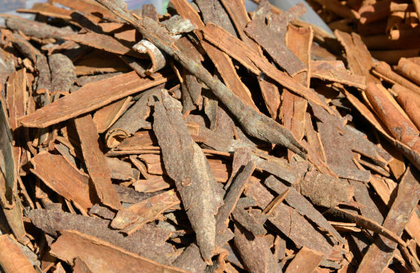 istock Scented Cinnamon on the bazaar in Istanbul 1148632879