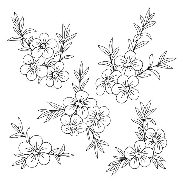 7,957 Simple Flower Outline Cartoon Illustrations & Clip Art - iStock