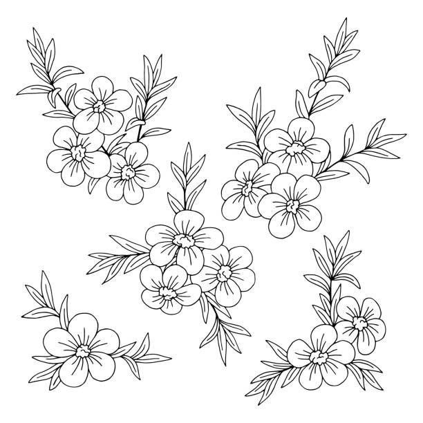 7,957 Simple Flower Outline Cartoon Illustrations & Clip Art - iStock 7,957 Simple Flower Outline Cartoon Illustrations & Clip Art - iStock