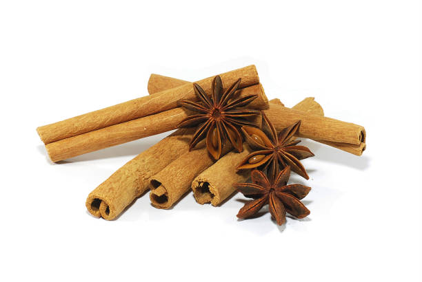 cinnamon and star anise isolated on white - canella imagens e fotografias de stock