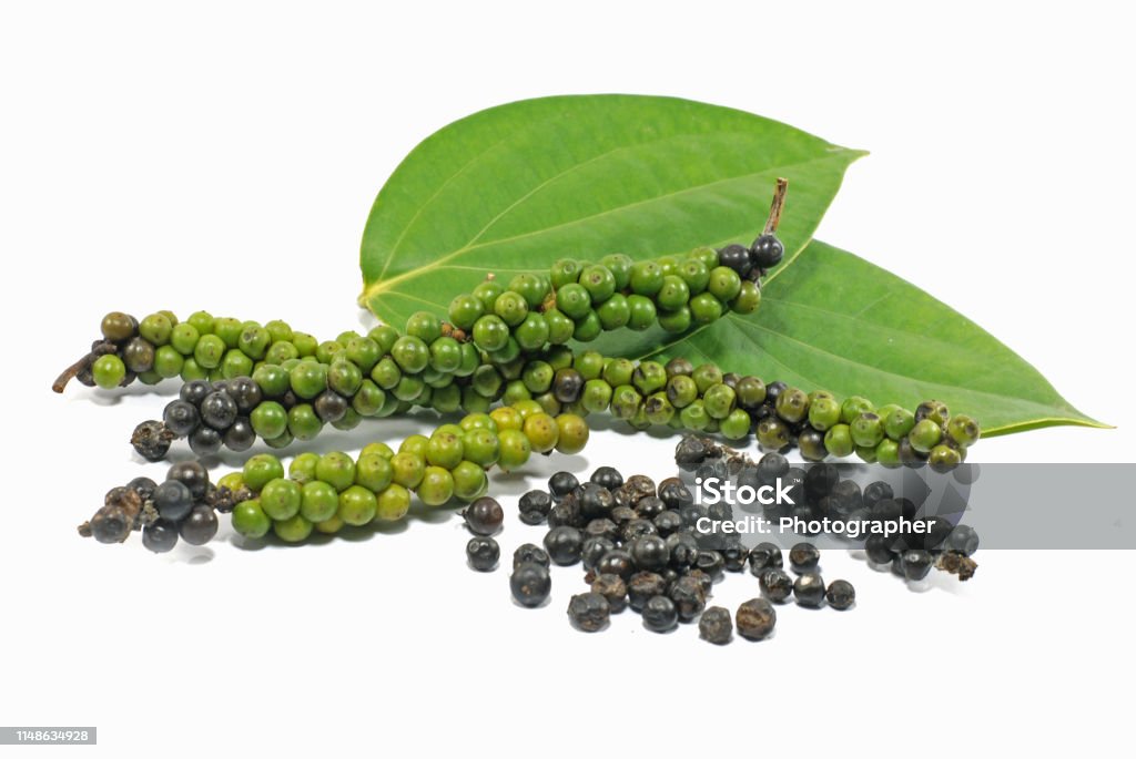 Fresh green piper nigrum isolated on white background Black Peppercorn Stock Photo