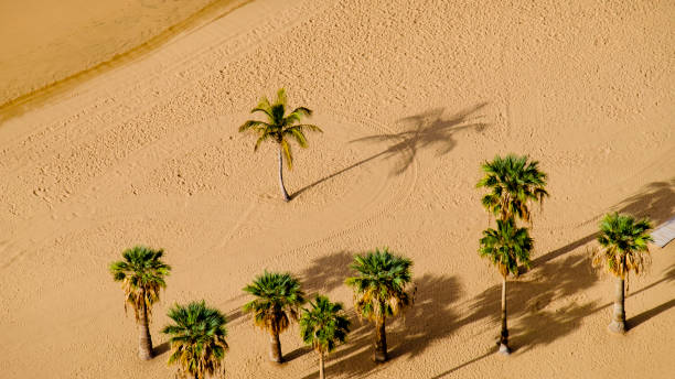 istock Tenerife, Canary Islands-Las Teresitas Beach 1148636145