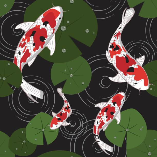 ilustrações, clipart, desenhos animados e ícones de ornamento japonês tradicional. teste padrão sem emenda. ondulação de carpas de koi. fundo náutico asiático. ilustração dos peixes do vetor/projeto japonês do teste padrão-vetor - pond water lily water drop