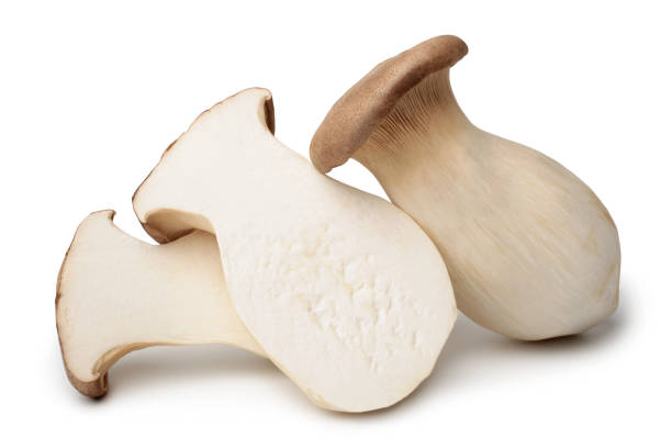 istock Pleurotus eryngii mushrooms 1148639736