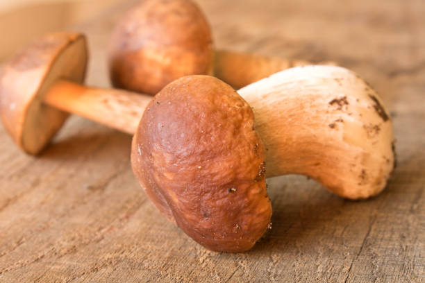 istock A boletus on an old oak table . Autumn. Mushroom picking 1148641243