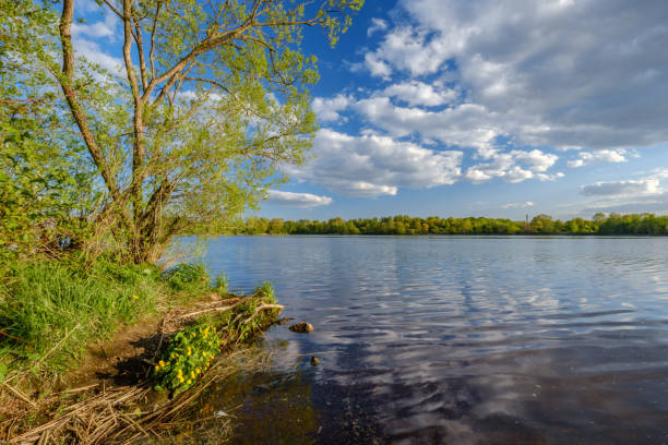 istock beautiful sunset by the river under tree leaves and branches. calm water 1148641611