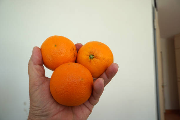 istock Fruit served on the tray and photographed on white plate 1148643450