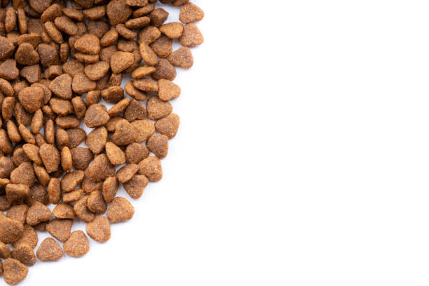 istock cat food on white background 1148643592