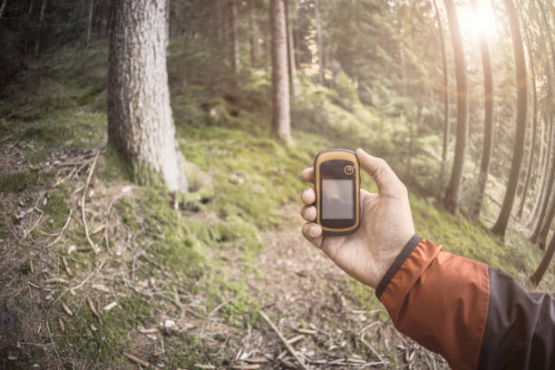 istock A trekker using gps among the forest in a cloudy day 1148644240