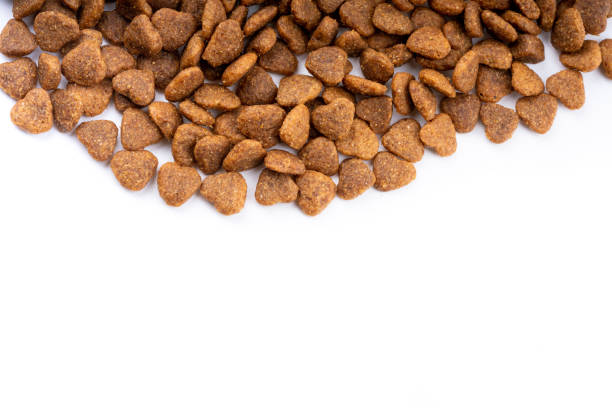 istock cat food on white background 1148644278