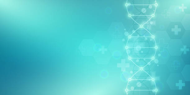 istock DNA strand background and genetic engineering or laboratory research. Medical technology and science concept. 1148645781