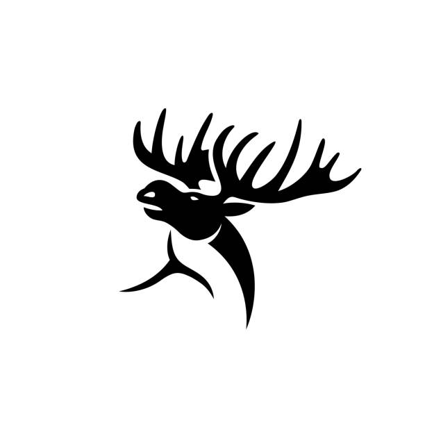 illustrations, cliparts, dessins animés et icônes de orignal-illustration vectorielle - antler stag deer trophy