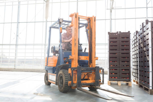 senior man in forklift by crates at distribution storehouse - greenhouse industry tomato agriculture imagens e fotografias de stock