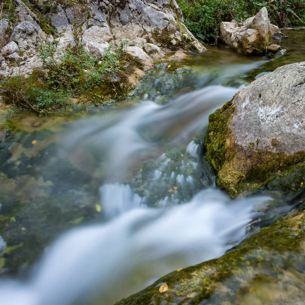 istock Long exposure, cascading mountain creek and wet rocks close up 1148648350
