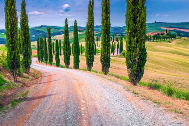 istock Tuscany landscape with curved rural road and grain fields, Italy 1148648375