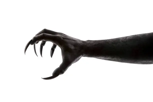 Photo of Creepy monster claw isolated on white background with clipping path
