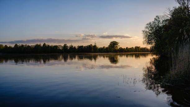 istock beautiful sunset by the river under tree leaves and branches. calm water 1148649386