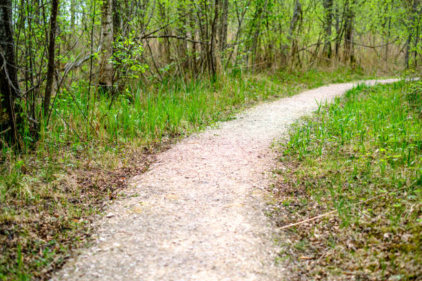 istock small narrow foot path in summer green forest 1148649493