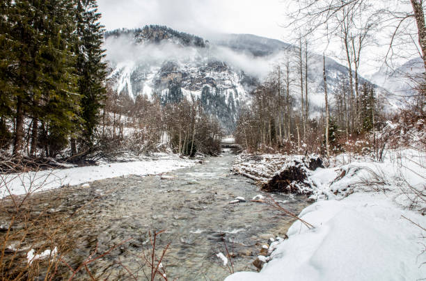 Looking toward the Schmittenerbach near Filisur in Switzerland